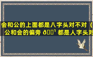 会和公的上面都是八字头对不对（公和会的偏旁 🌹 都是人字头对不对）